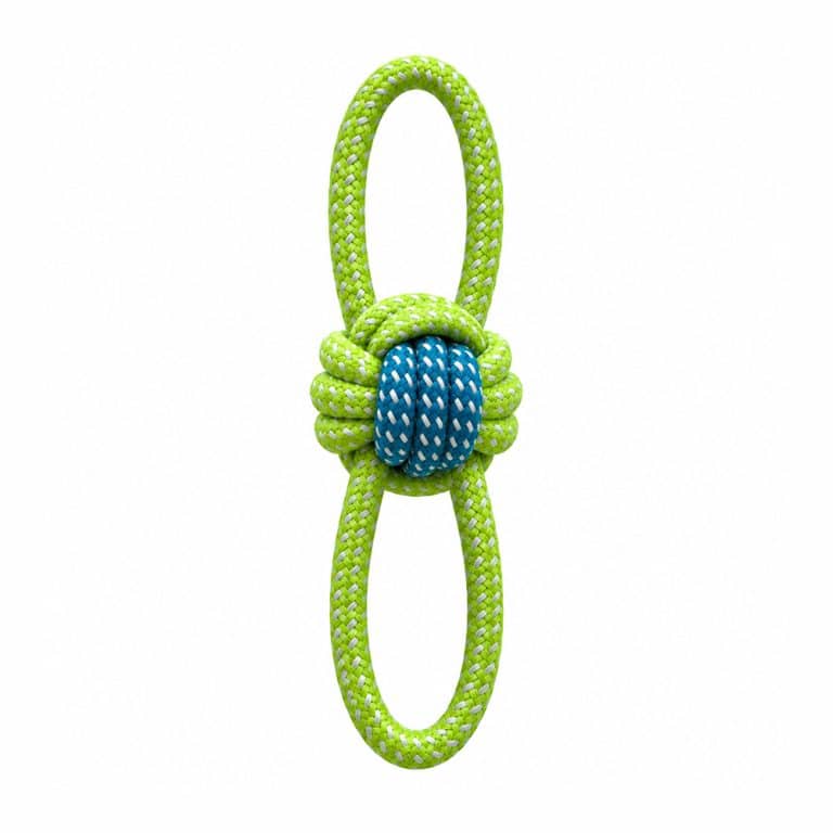 Blue & Green Double-Loop Knotted Rope Tug Dog Toy