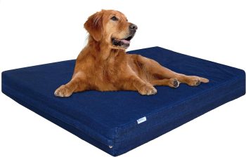 Dogbed4less Extra Large Orthopedic Memory Foam Dog Bed
