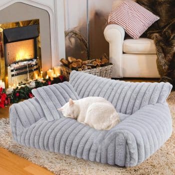 Cute Cat Couch Bed for Indoor Cats, Dog Beds 