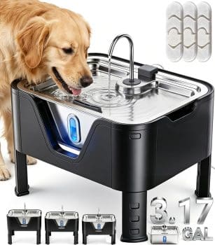  3.17Gal/ 12L Large Dog Water Fountain Elevated Dog Bowls
