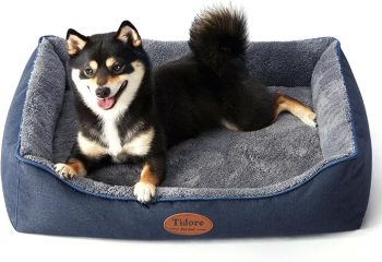 Tidore Orthopedic Dog Bed Medium Size Dog