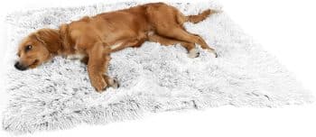 Best Friends by Sheri Dog Blanket