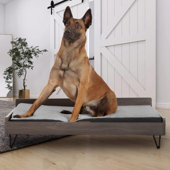  TailZzz Chase Wooden Dog Bed with Calming Mattress
