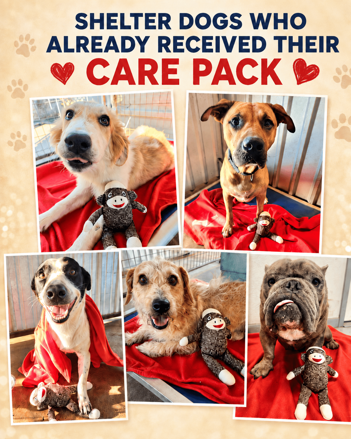 Send a Sock Monkey & Blankie Care Pack to a Shelter Dog - Image 3