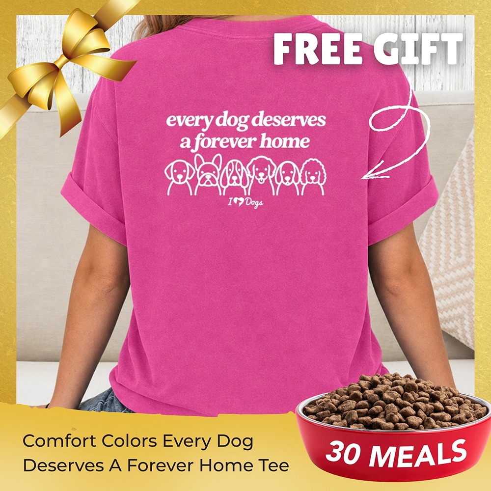 FUND 30 Meals For $30 and Get A FREE Comfort Colors Every Dog Deserves A Forever Home Vintage Washed Tee - Crunchberry