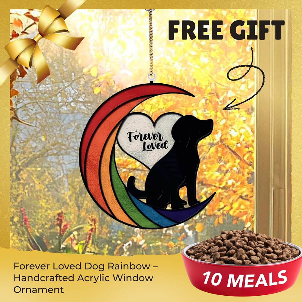 FUND 10 Meals for $10 and Get a FREE Forever Loved Dog Rainbow – Handcrafted Acrylic Window Ornament- Helps Feed Hungry Shelter Dogs in Need