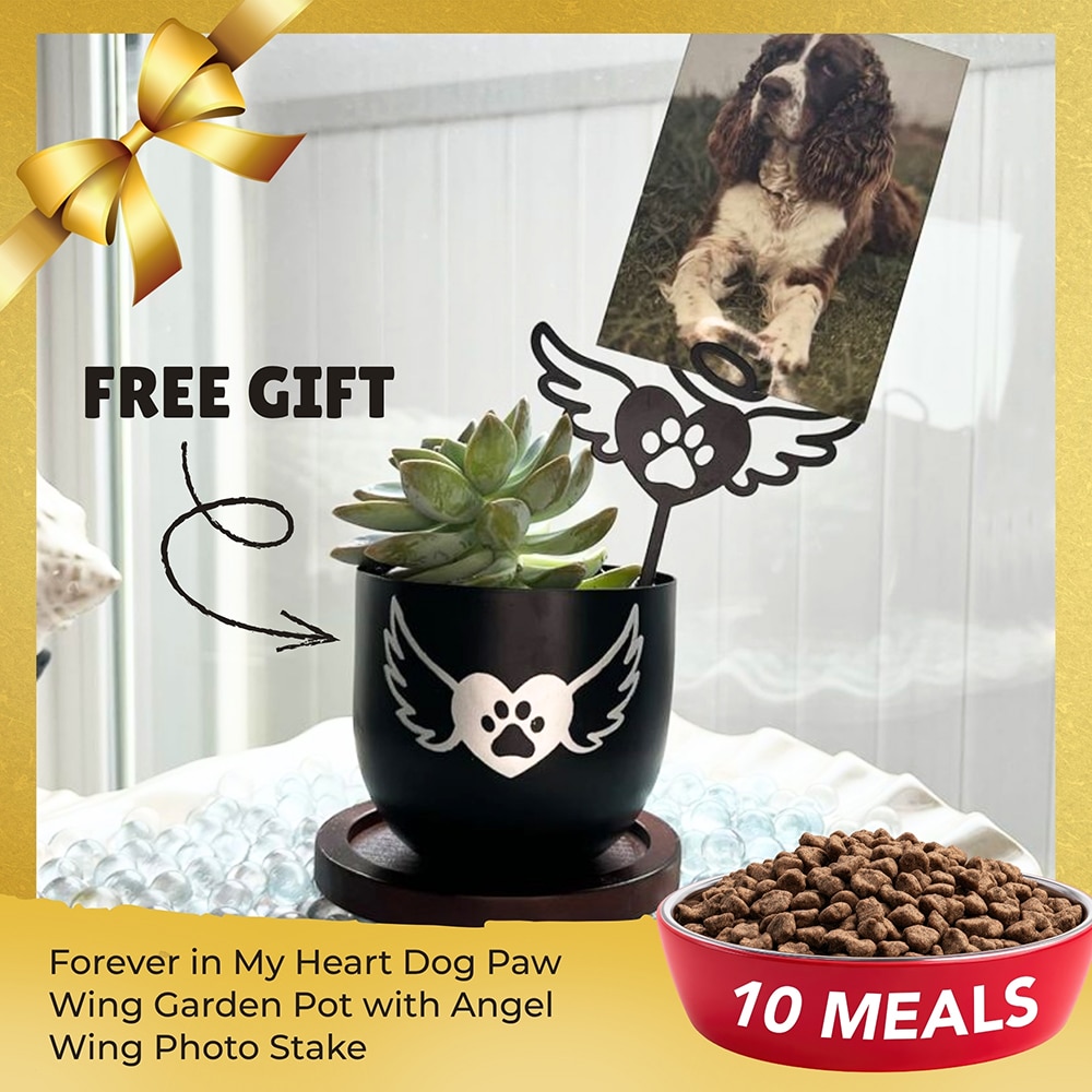Fund 10 Meals for $10 and get this FREE Forever in My Heart Dog Paw Wing Garden Pot with Angel Wing Photo Stake – Inspirational Indoor Outdoor Garden Flower Pot