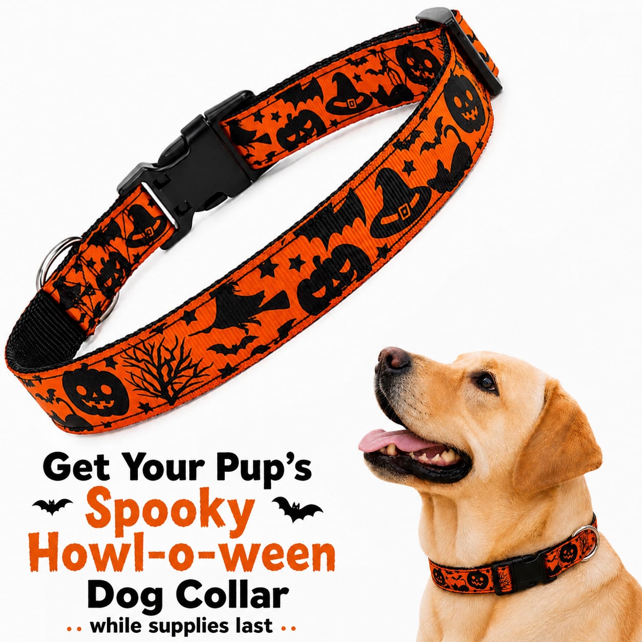 Halloween Dog Collar S-XL