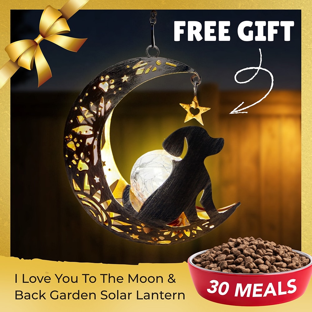 Fund 30 Meals for $30 and Get a FREE I Love You To The Moon & Back- The Ultimate Garden Solar Lantern for Dog Lovers