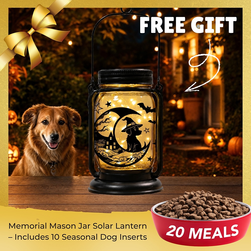 FUND 20 Meals for $20 and Get a FREE Holiday Celebration Mason Jar Lantern Solar Light – 10 Seasonal Dog & Cat Inserts – July 4th, Halloween, Christmas, Mom's Day, Memorial