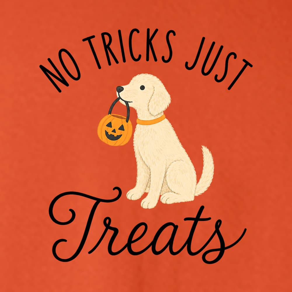 No Tricks Just Treats Pup Sweatshirt Orange - Image 2