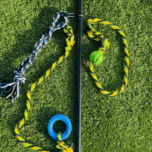 Outdoor dog tug pole with braided rope attachments, rubber ball, and blue tug tire
