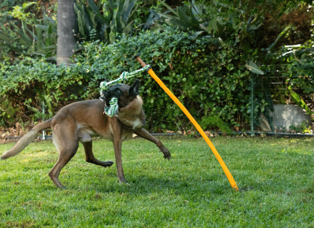Outdoor dog tug pole with rope, ball, and tug tire attachments
