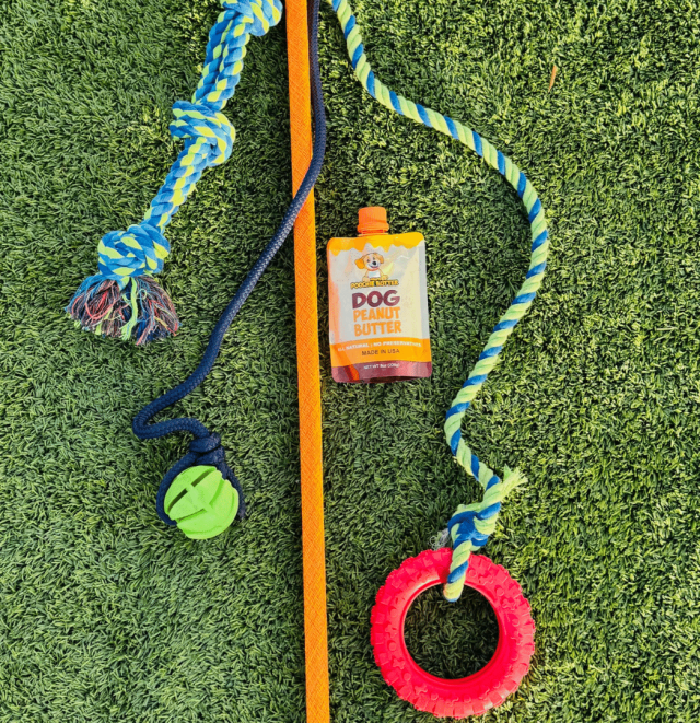 Valentino Pet Paws tug pole rope attachments, rubber ball, red tug tire, and peanut butter treat laid out on turf
