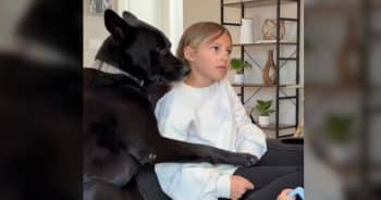 PetWireDaily — Rescue Dog Can’t Stop Cuddling the Little Girl Who Chose Him