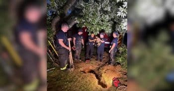 PetWireDaily — Dachshund Disappears Into Backyard Hole, Sparking a 5-Hour Underground Rescue