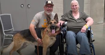 PetWireDaily — Dog Saves His Owner’s Life as Wildfire Engulfs Everything Around Them