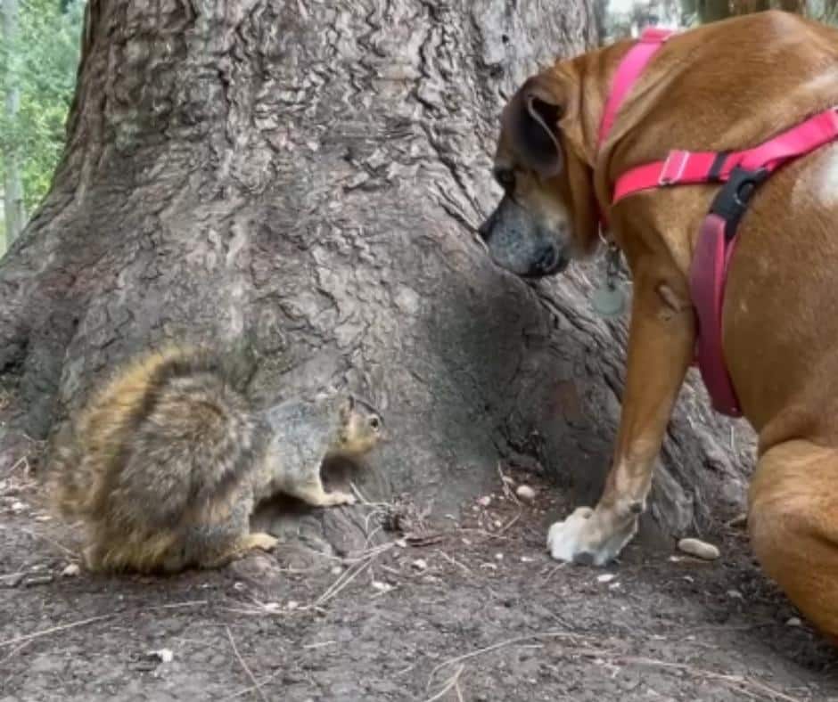 Martha and Cali together at the park