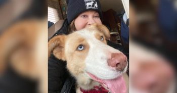 PetWireDaily — Linda Blair Calls Raid on Her Animal Rescue a ‘Positive’ Experience