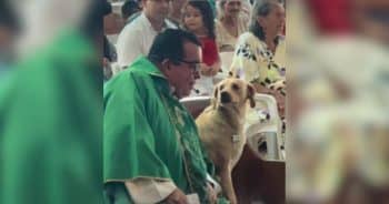 Priest and simplified Image of dog praying together