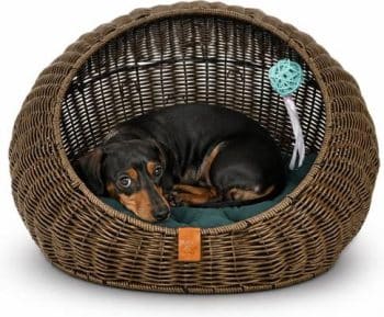 The Sam's Pets Nala Bolster Dog & Cat Bed combines a modern rattan-style wicker exterior with a cozy place for small pets to relax. Its sturdy construction creates a supportive resting space, while the soft plush cushion adds comfort for naps and lounging. The bed measures 19.33 x 19.33 x 11.82 inches and is designed for quick assembly and disassembly. It also comes with matching toys for added fun and is available in multiple colors, making it easy to coordinate with your home décor.