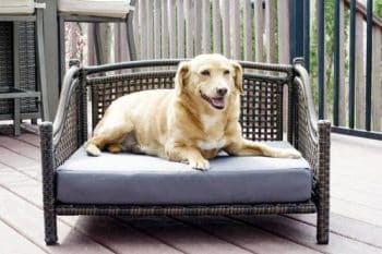 Iconic Pet Maharaja Rattan Sofa Cat & Dog Bed