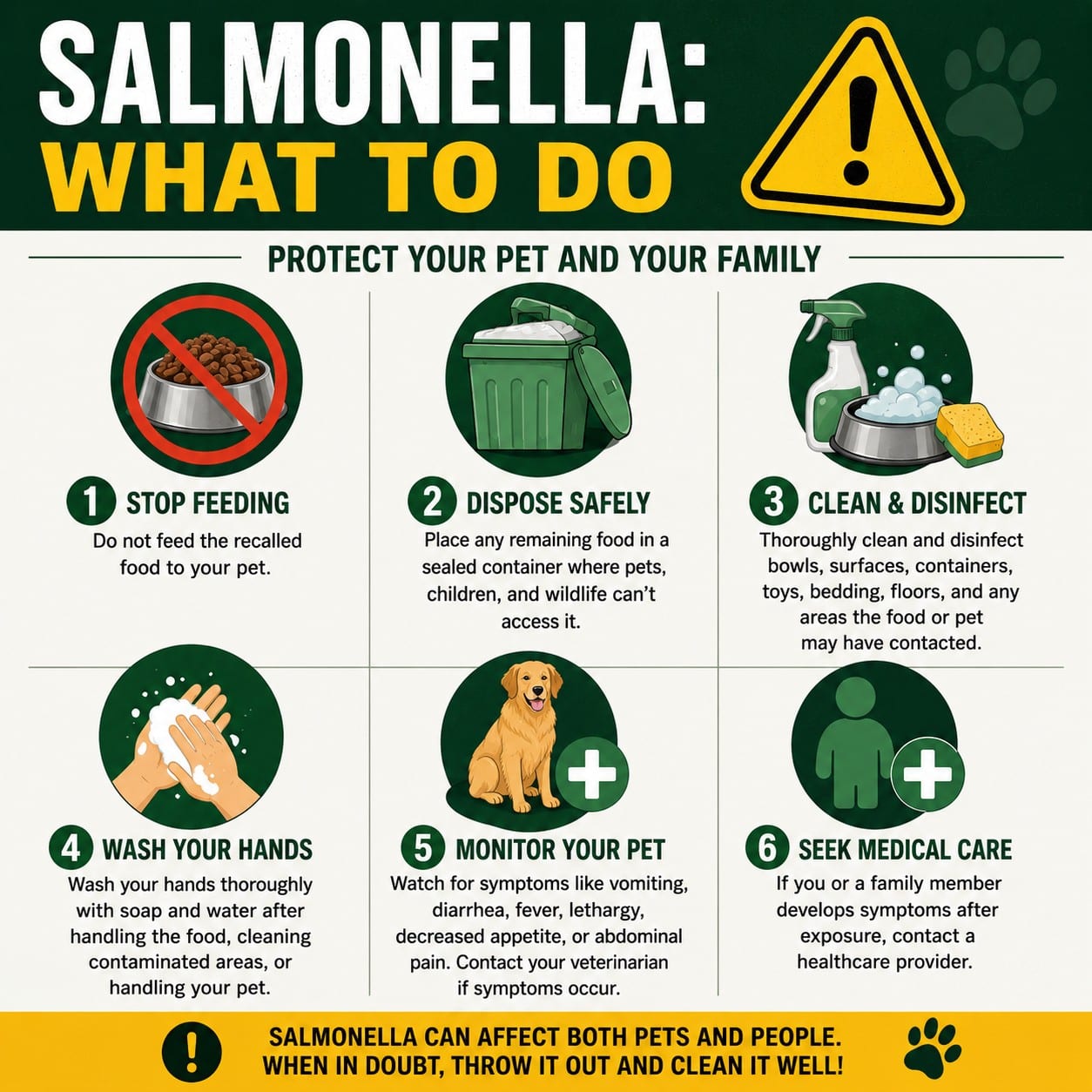 salmonella info