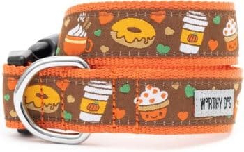 The Worthy Dog Pumpkin Spice Dog Collar