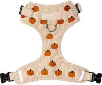Lucy & Co. Oh My Gourd No-Pull Dog Harness