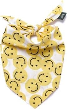 The Paws Smile Dog & Cat Bandana, Yellow