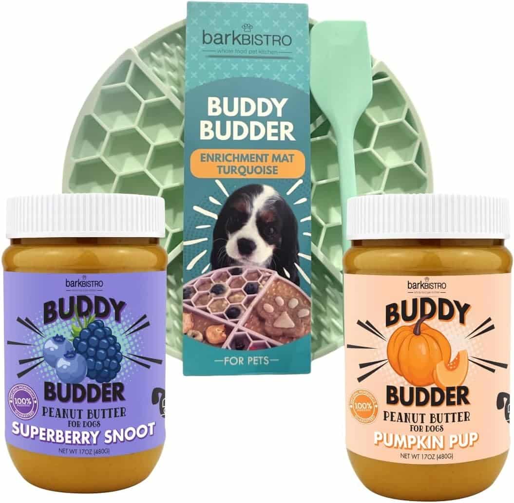 BUDDY BUDDER Superberry Snoot Pumpkin Pup Enrichment Mat Combo