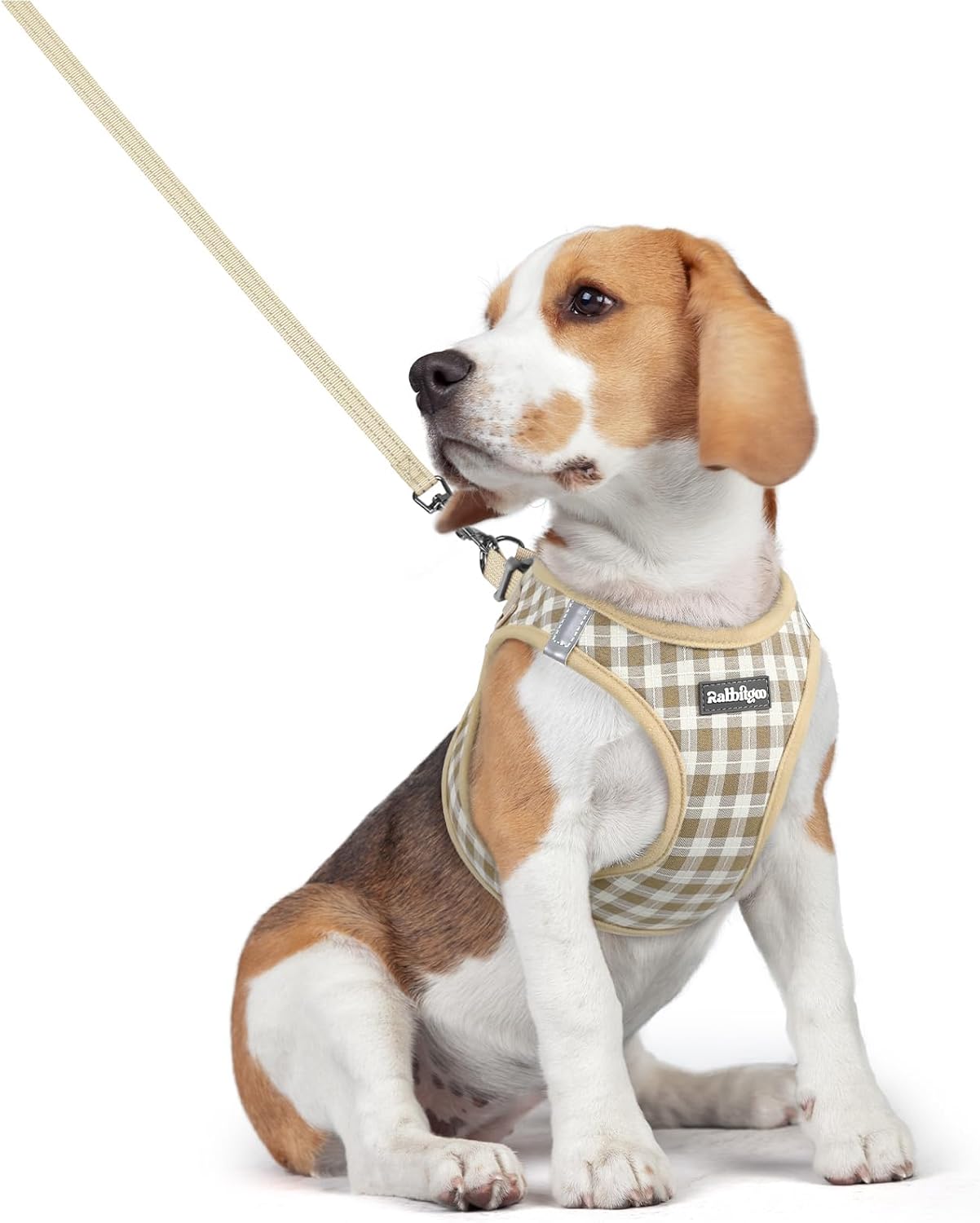 rabbitgoo Dog Harness and Leash Set for National Dog Week walks
