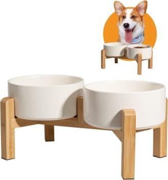 Elevated Ceramic Dog Bowl, 3.6 Cups Dog Food