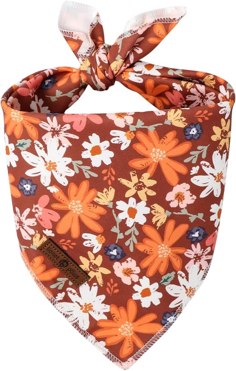 Lionet Paws Fall Dog Bandana autumn seasonal accessory