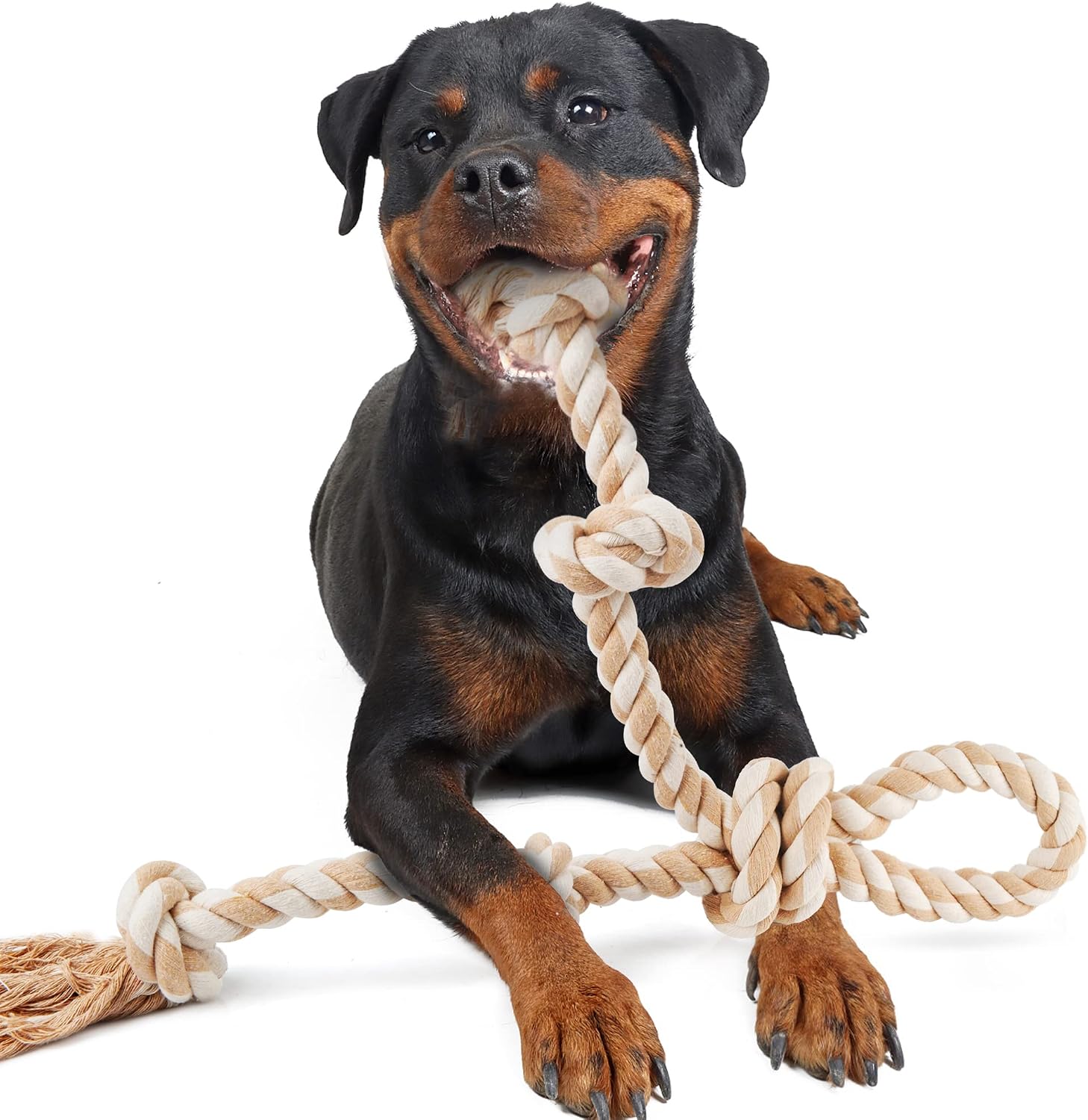Fida Tug of War Dog Toys interactive bonding toy