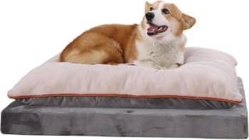 Amazon Basics Washable Dog Bed with Cooling Gel Memory Foam
