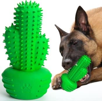 Pamlulu Dog Chew Toys Dog Toothbrush Stick Teeth Cleaning Brush Dental
