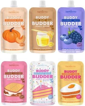 BUDDY BUDDER 6 Pack Mixed Flavor Squeeze Packs