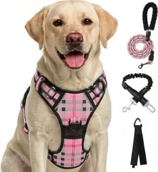 FURRYFECTION Plaid Dog Harness with Leash and Seat Belt Set