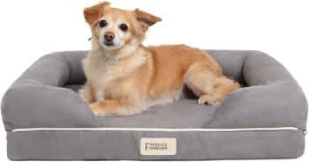 Friends Forever Orthopedic Dog Bed