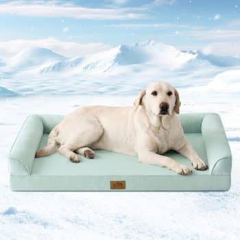  COZY KISS Cooling Dog Bed for Large Dogs