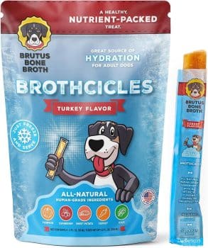 Brutus Brothcicles Frozen Dog Treats