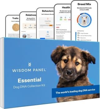 Wisdom Panel Essential Dog DNA Test