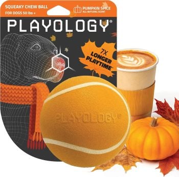 Playology Squeaky Chew Ball Dog Toy