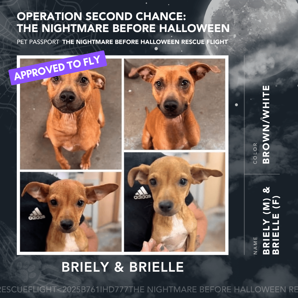 Briely & Brielle - Rescue Flight Passports
