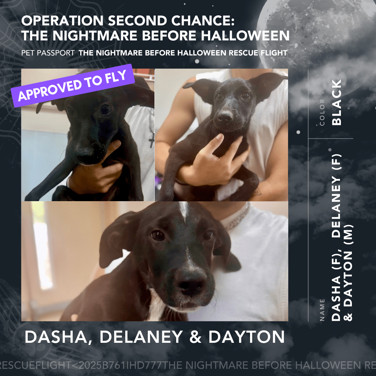 D Litter - Rescue Flight Passports