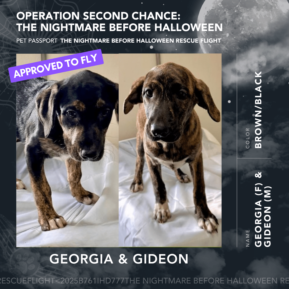 Georgia & Gideon - Rescue Flight Passports