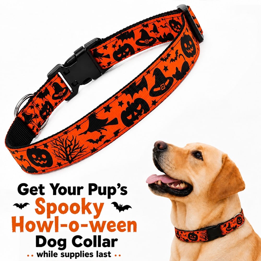 Halloween Dog Collar S-XL