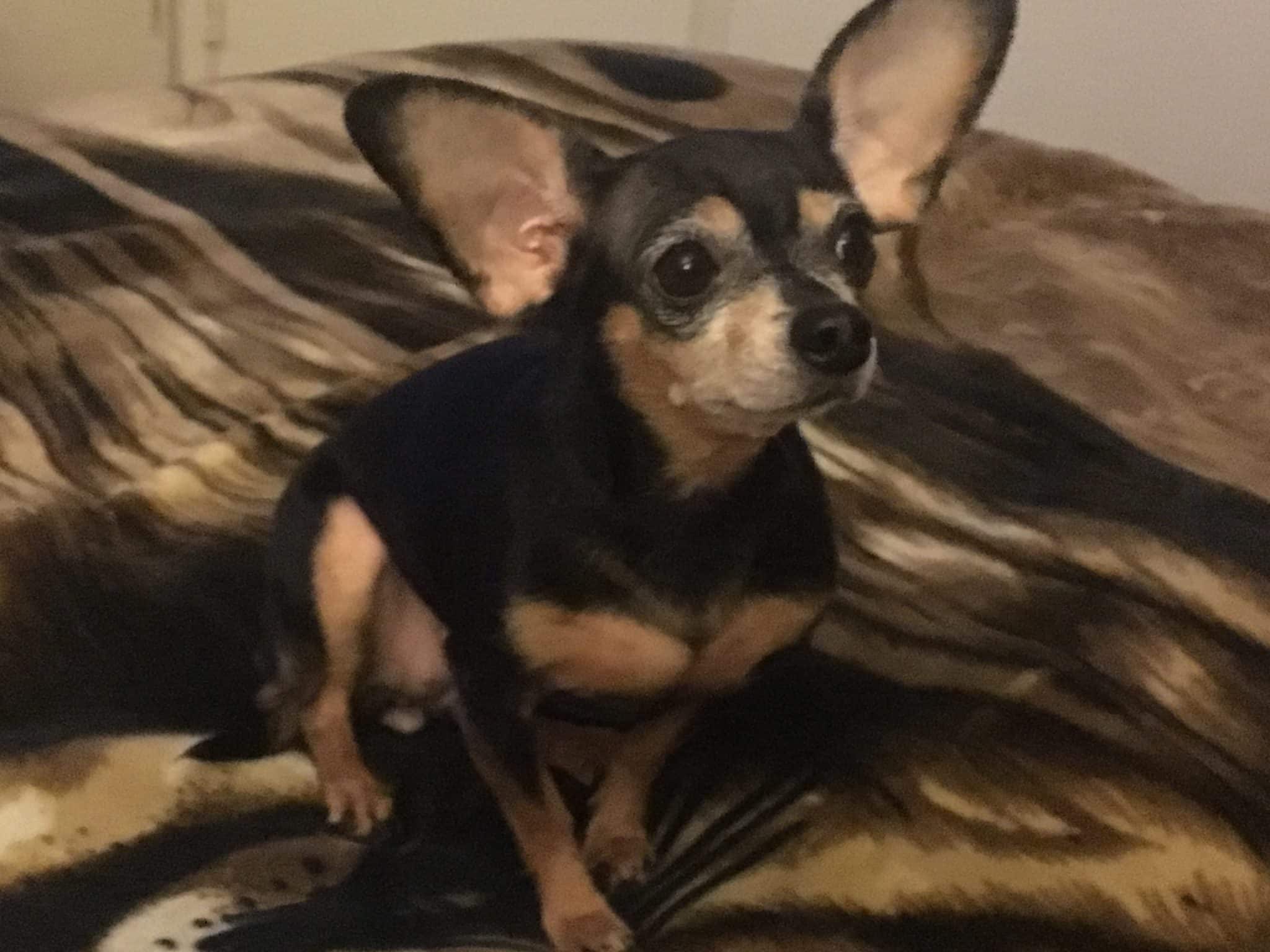 Princess