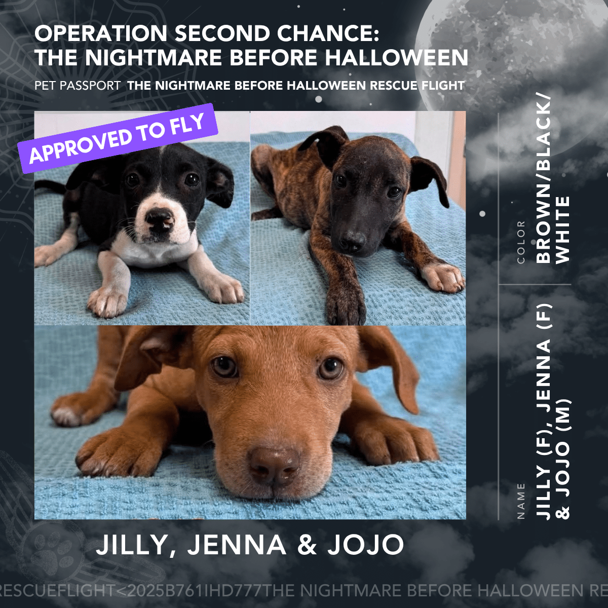 J Litter - Rescue Flight Passports